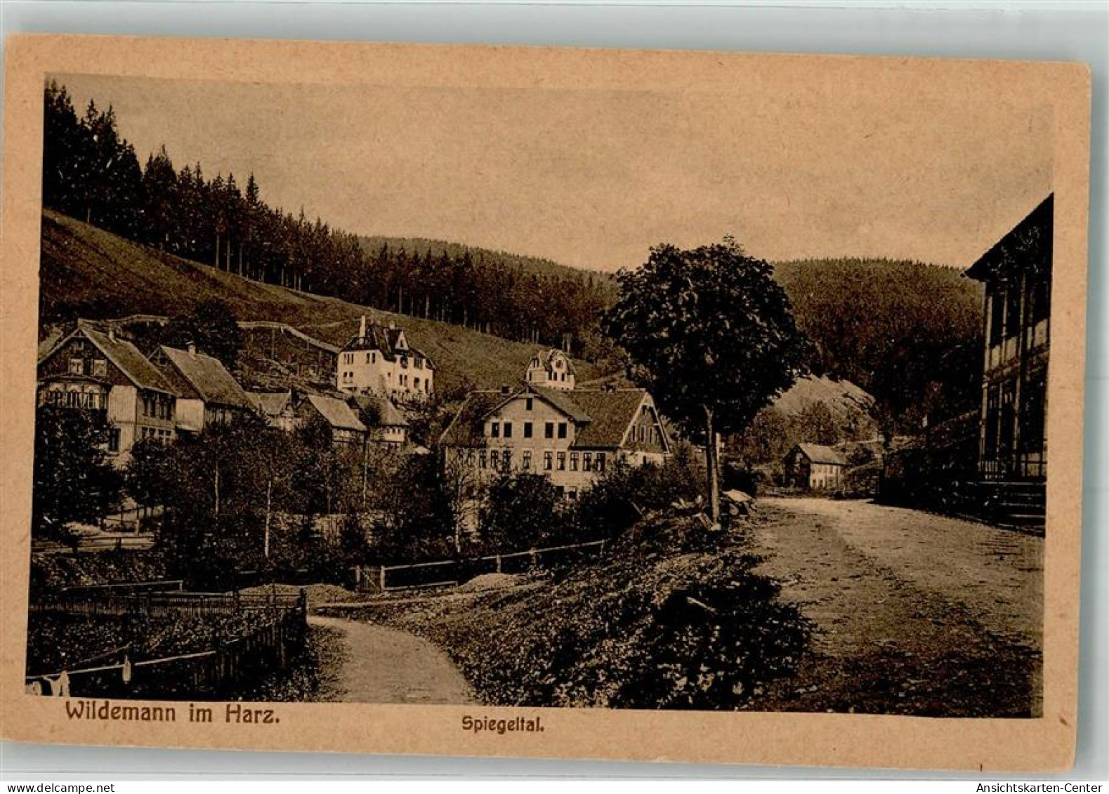 39929017 - Wildemann