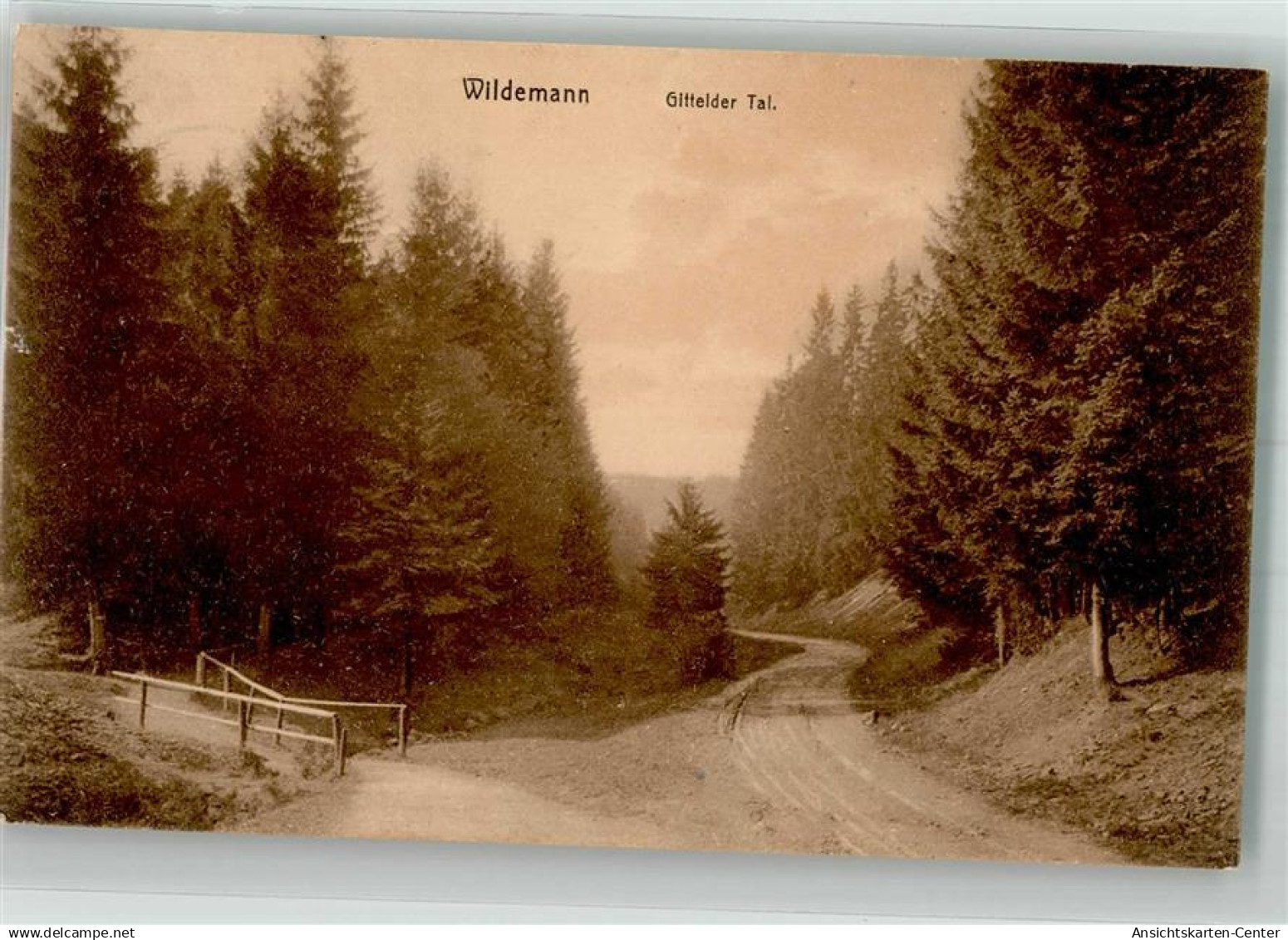 39929025 - Wildemann