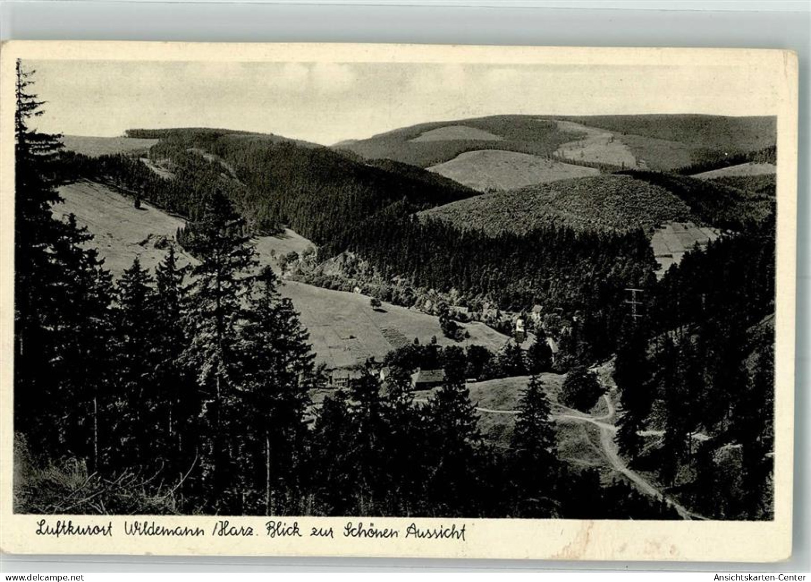 39929039 - Wildemann