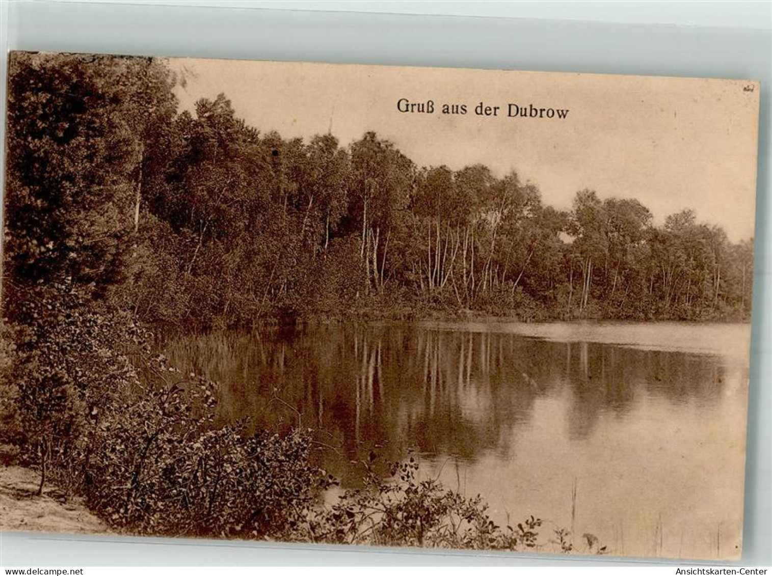 39929161 - Dubrow b Muellrose