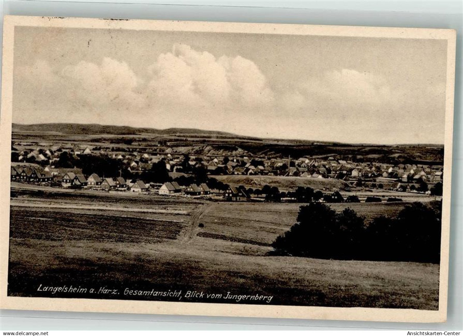 39929255 - Langelsheim