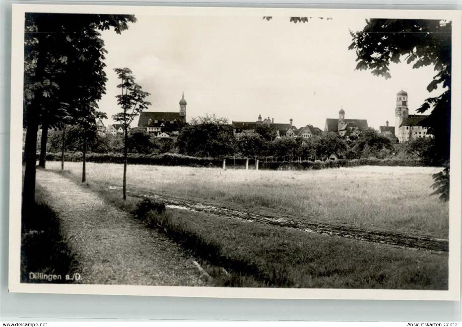 39940801 - Dillingen a d Donau