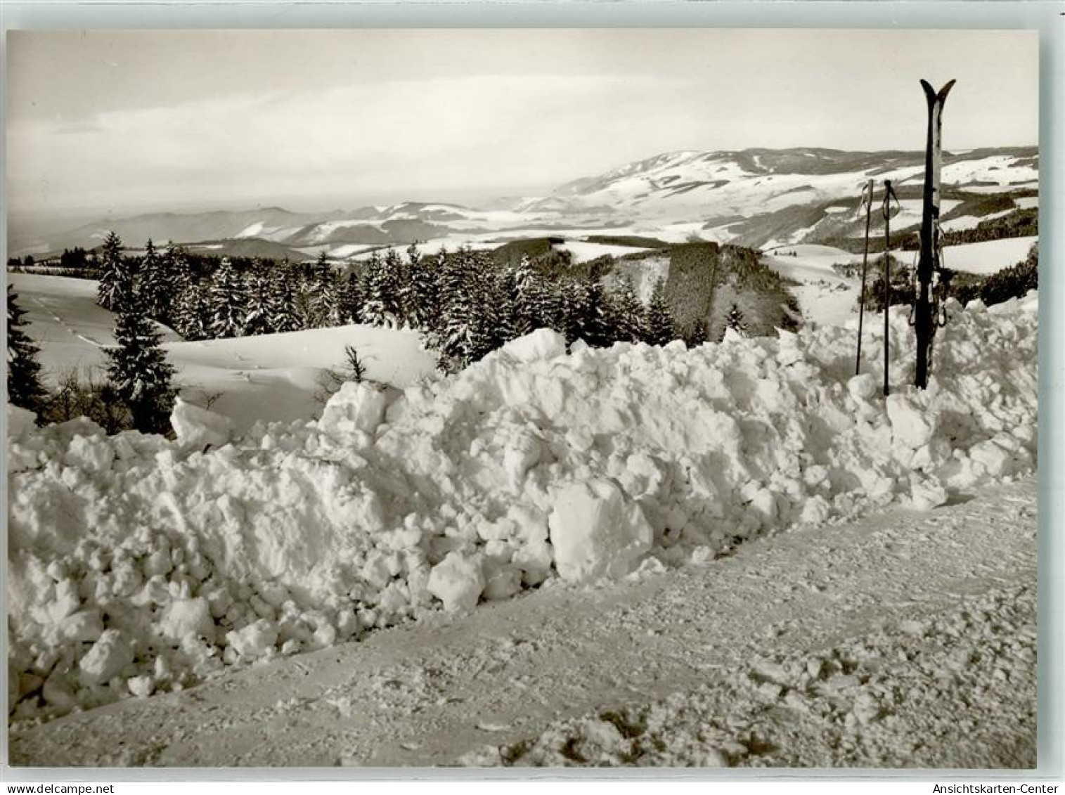 39944164 - Hinterzarten