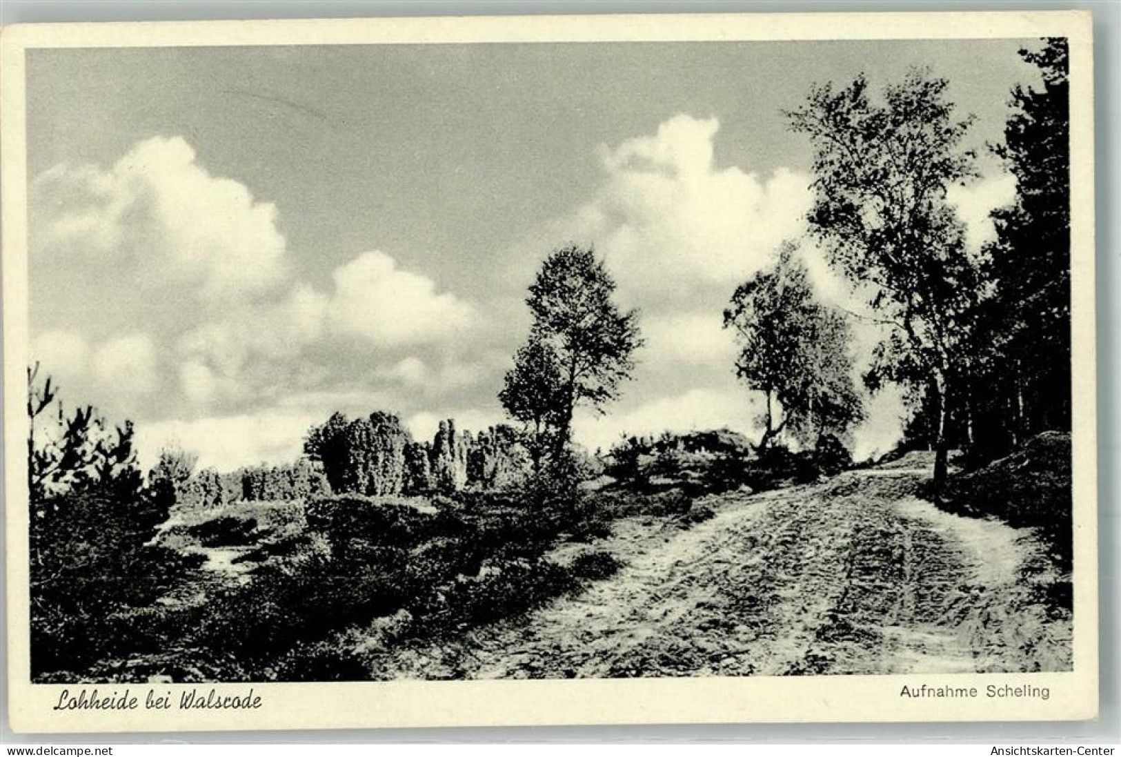 39948214 - Walsrode