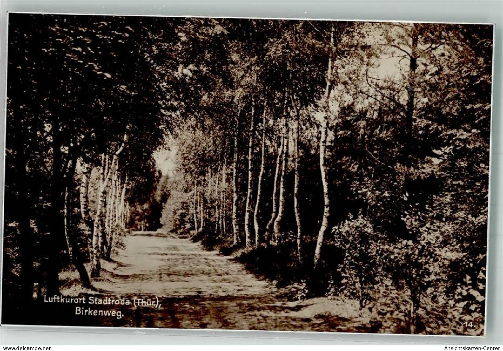 39949528 - Stadtroda