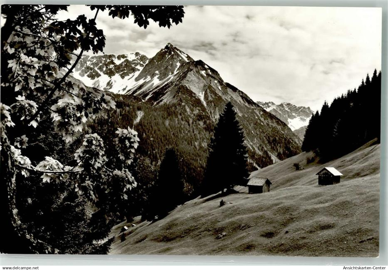 39954374 - Hindelang