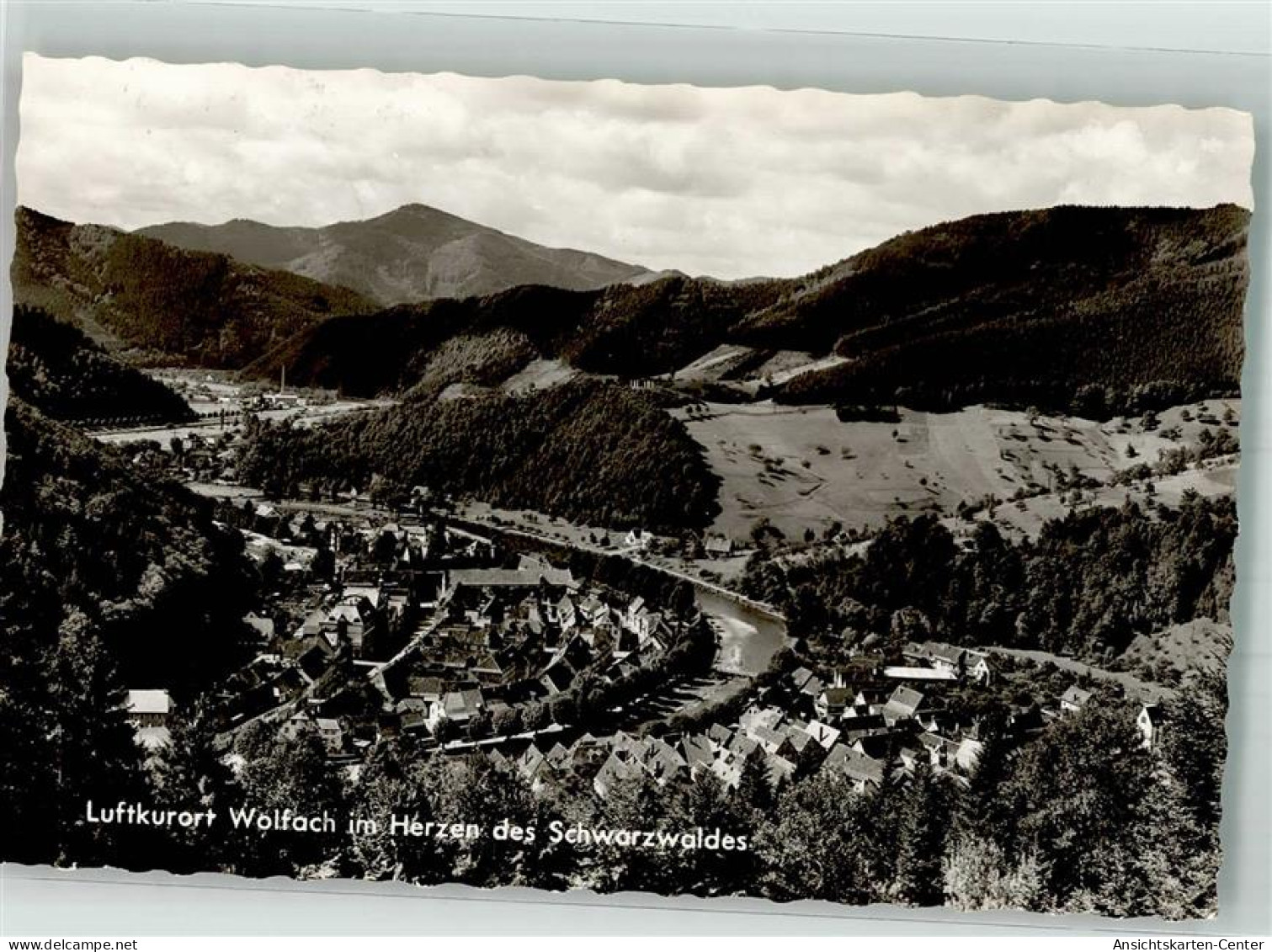 39955119 - Wolfach