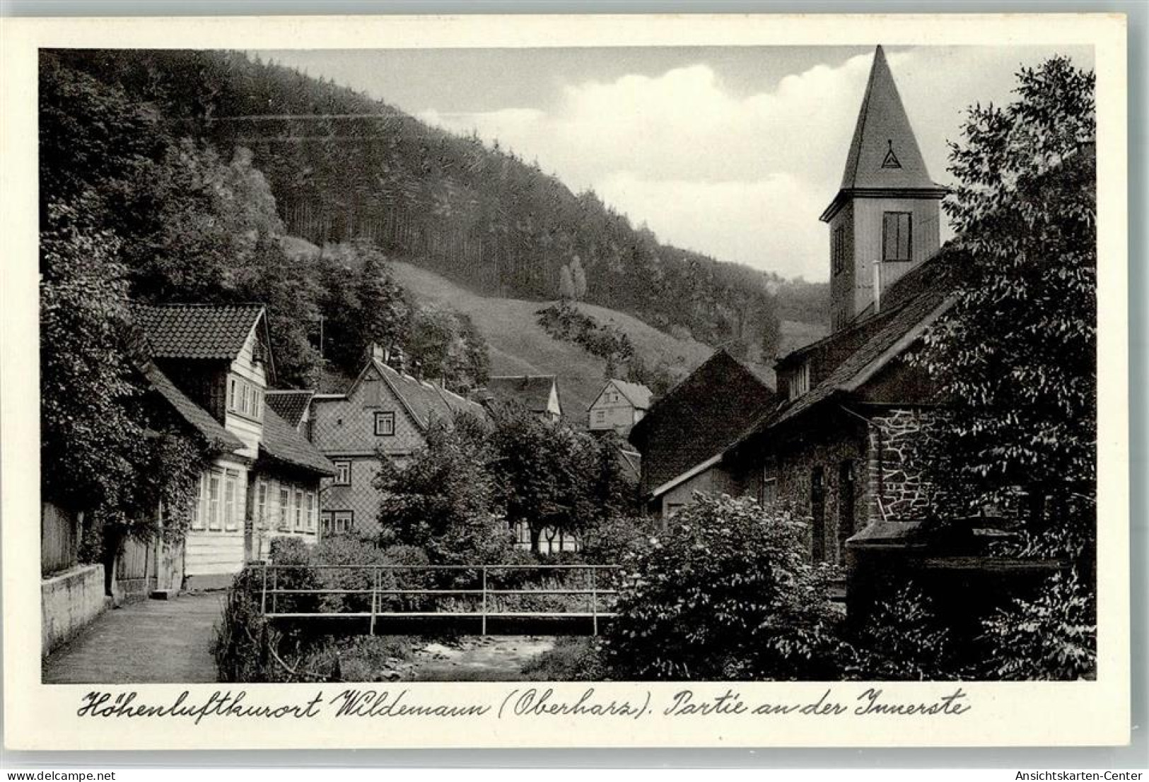 39959746 - Wildemann