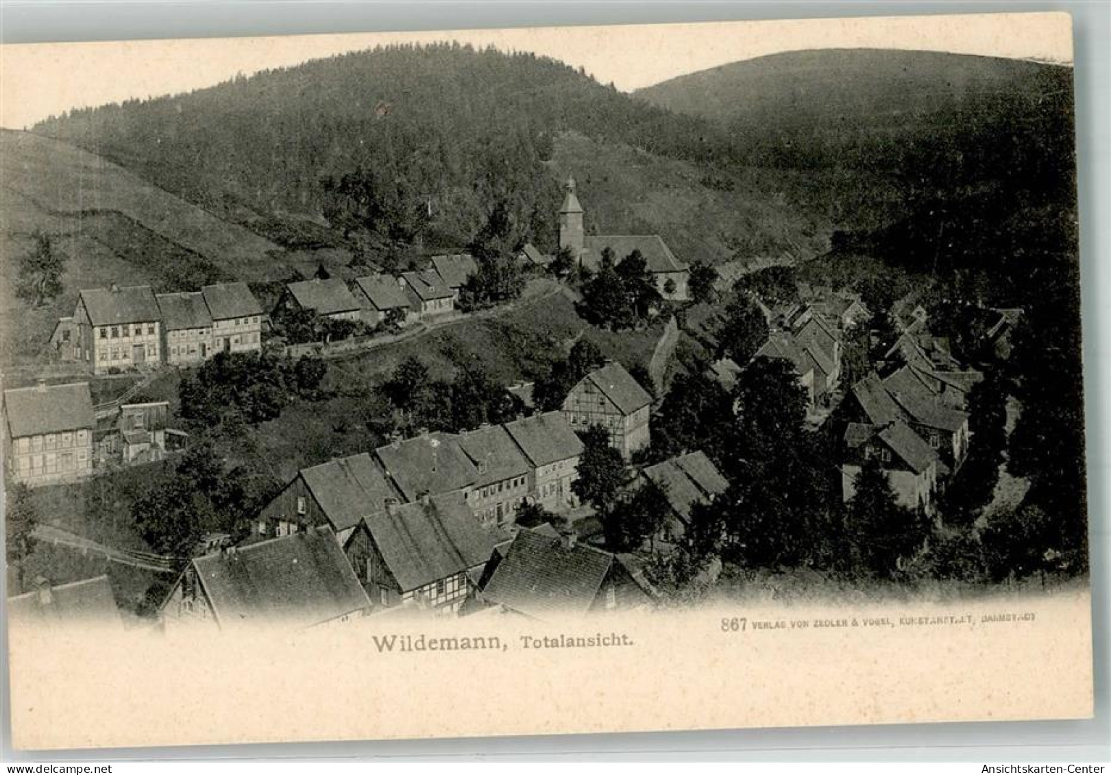 39959747 - Wildemann