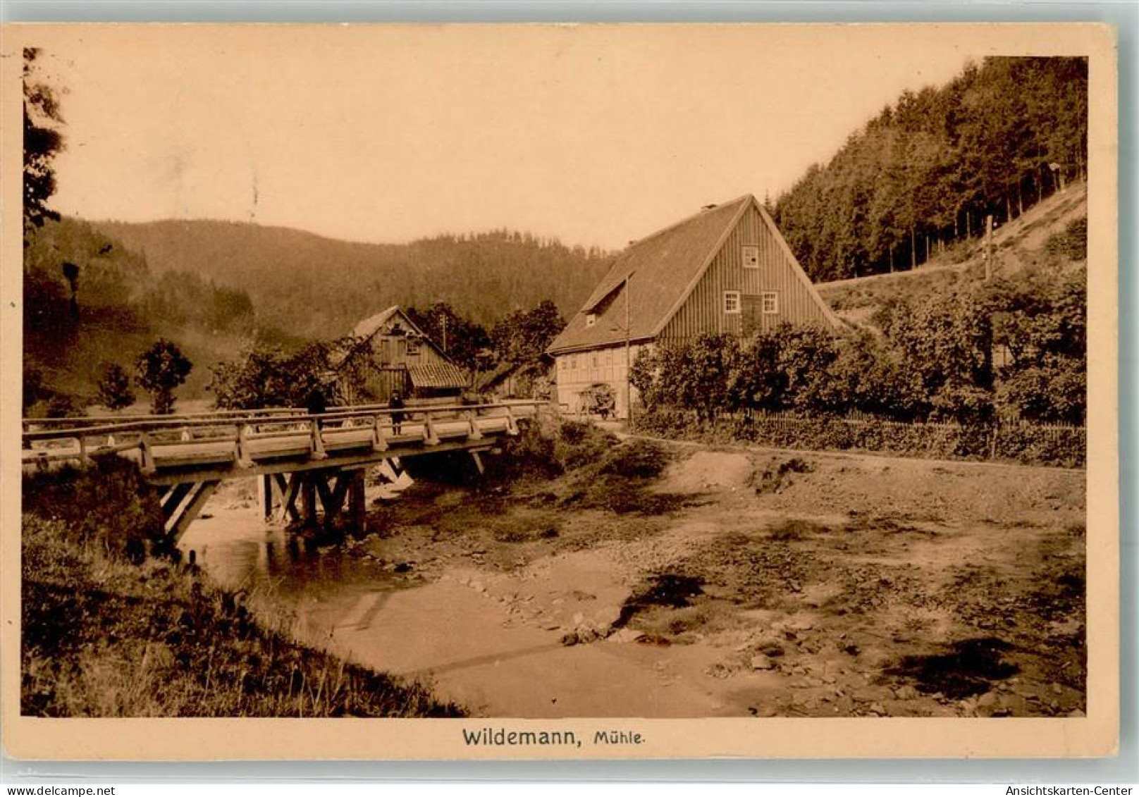 39959757 - Wildemann