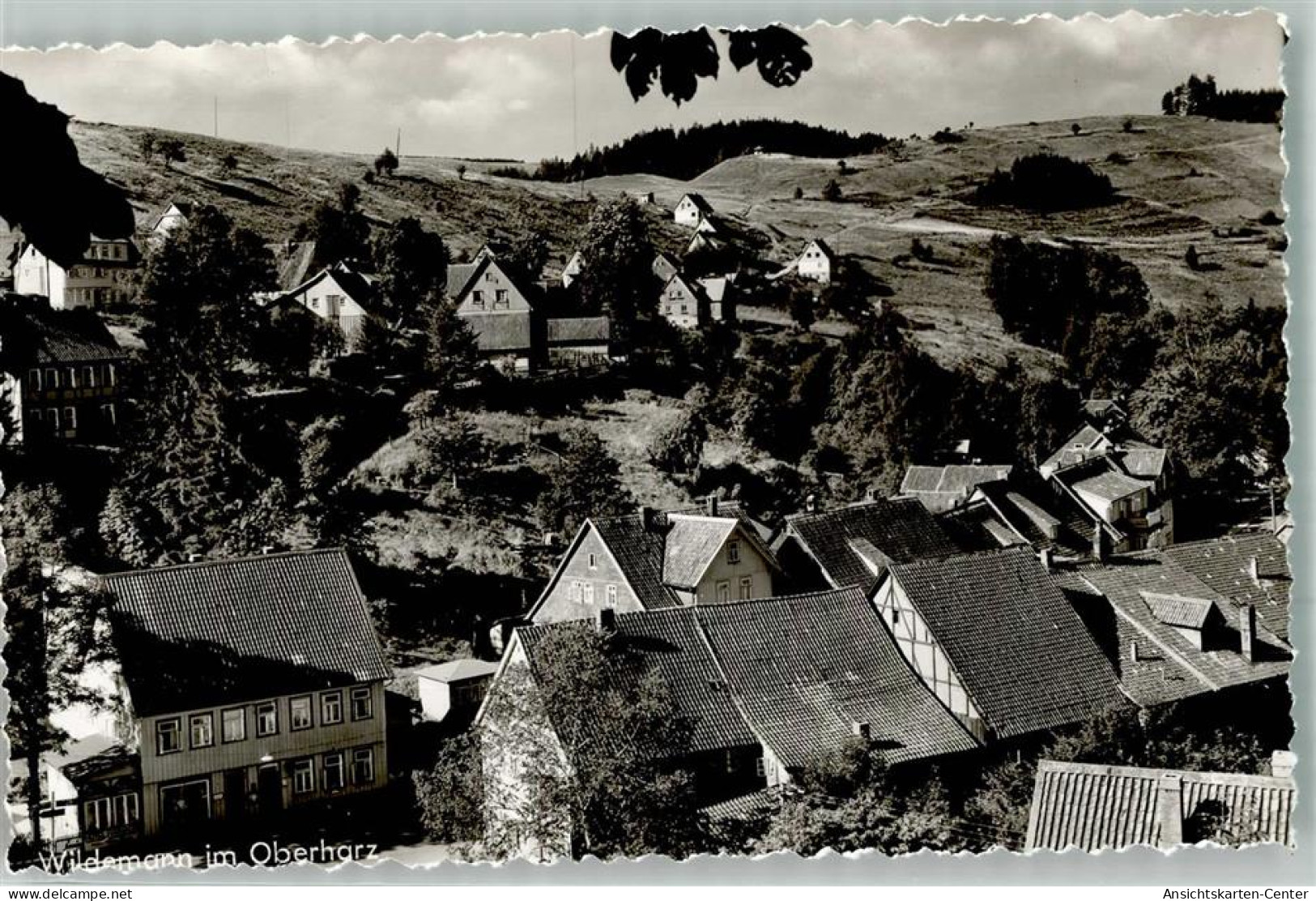 39959768 - Wildemann