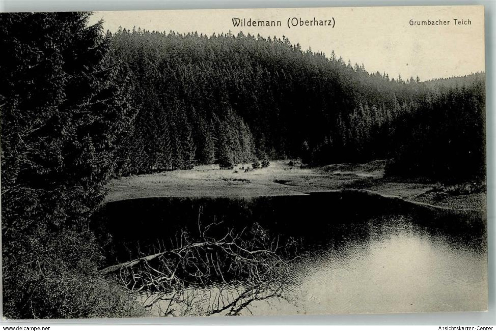 39959980 - Wildemann