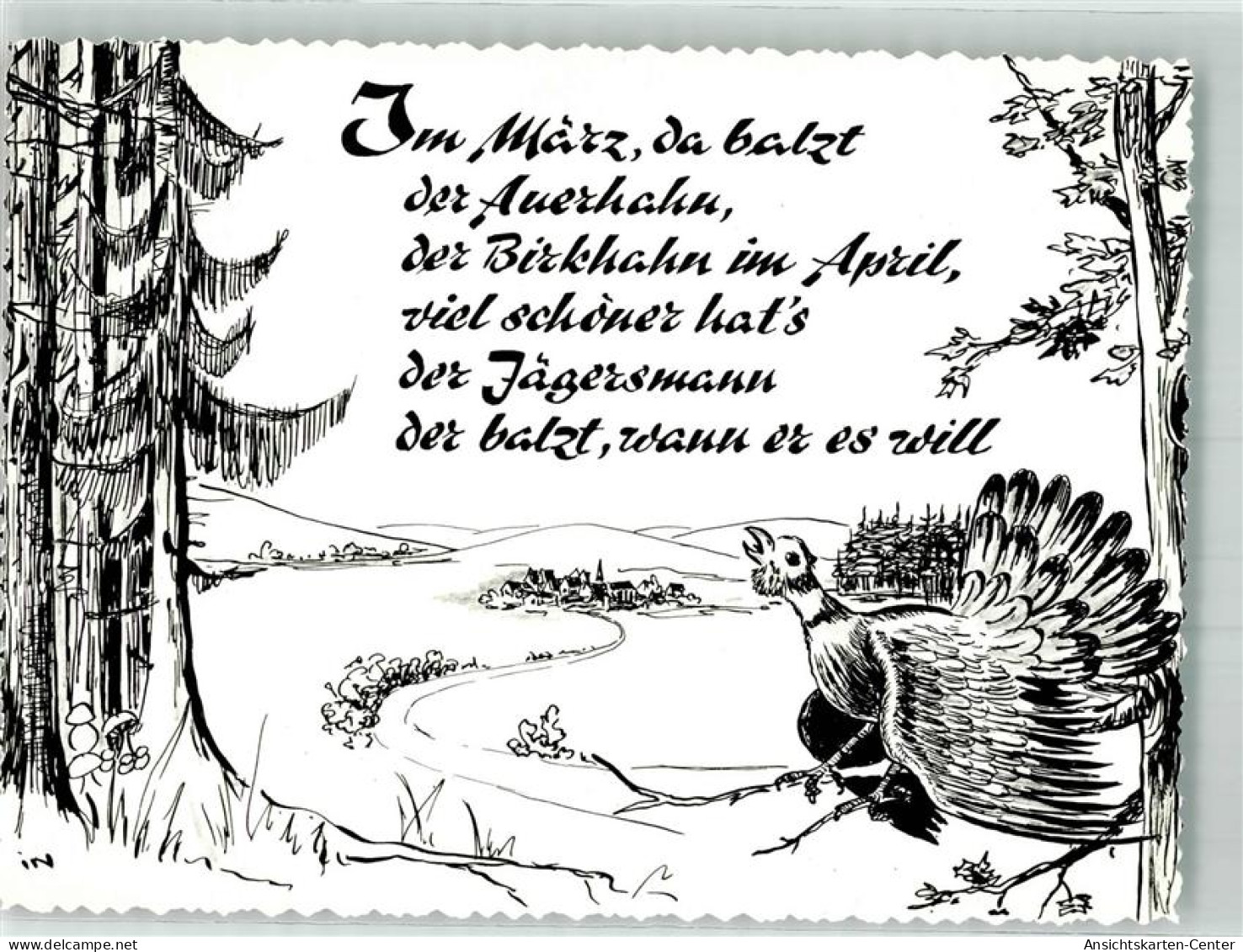 39960381 - Auerhahn , Oberharz