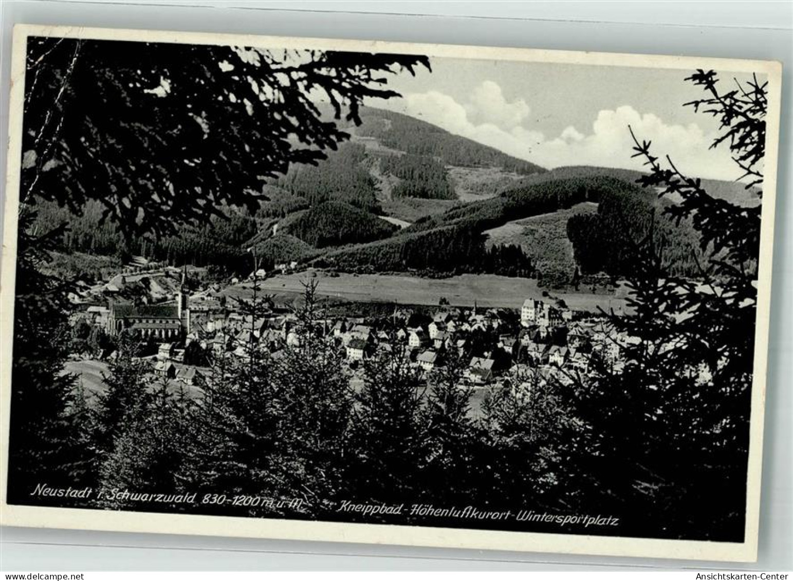 39963038 - Neustadt Titisee-Neustadt