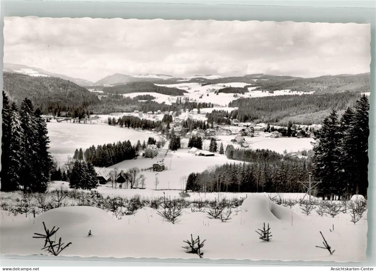 39964416 - Neustadt Titisee-Neustadt