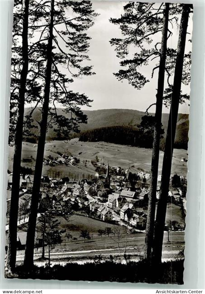 39966591 - Baiersbronn