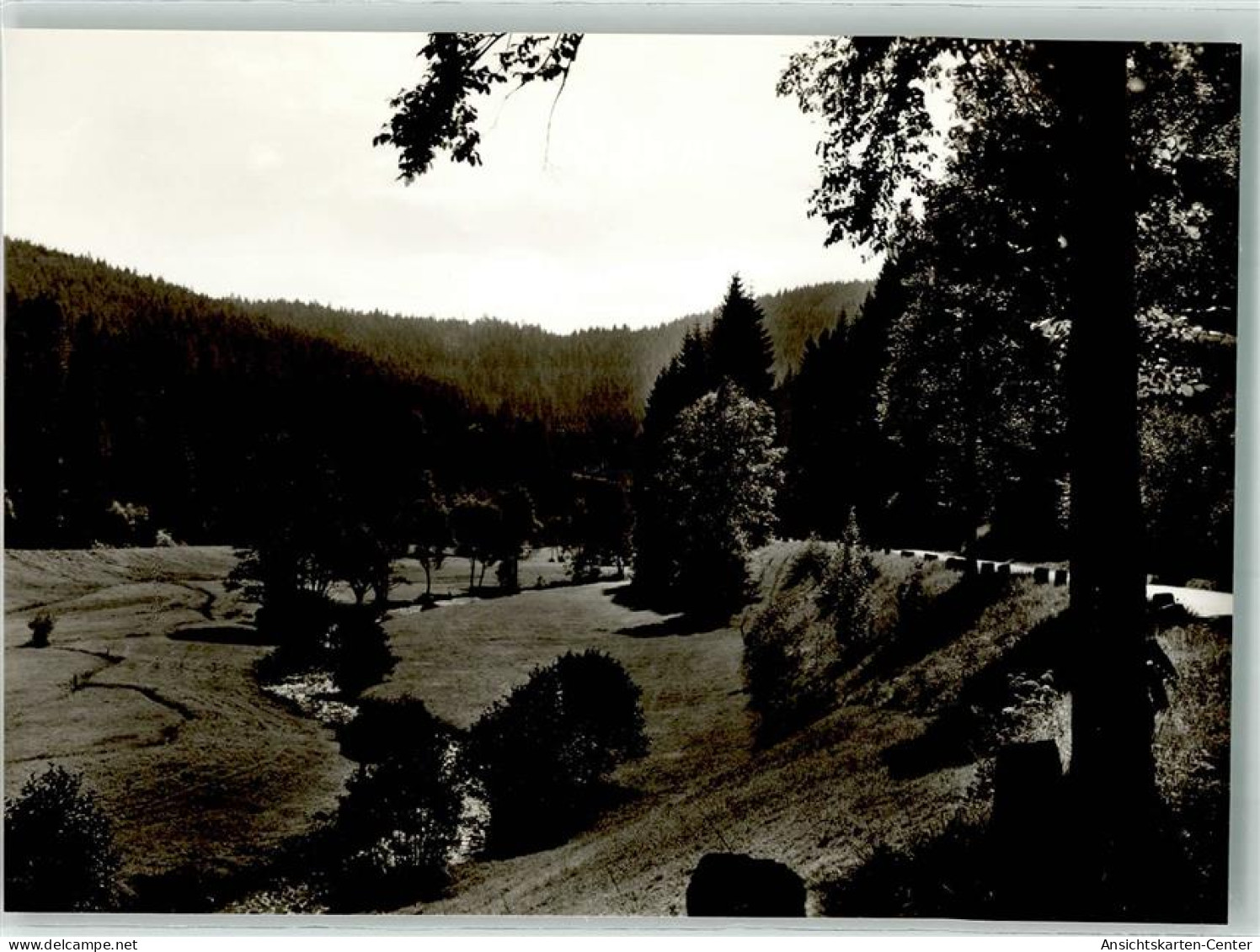 39968886 - Altensteig , Wuertt