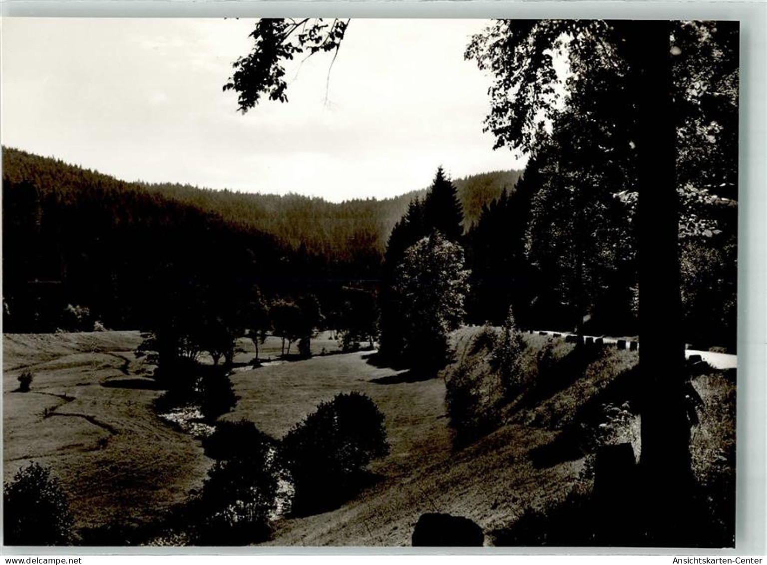 39968888 - Altensteig , Wuertt