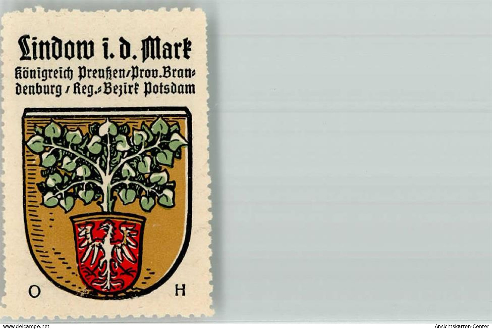 39975718 - Lindow Mark