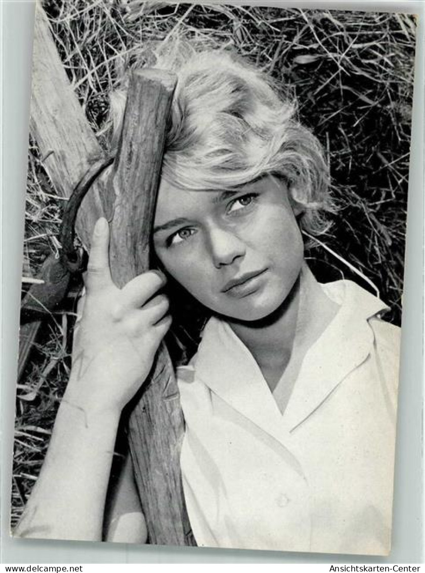 39994080 - Lichterfelde