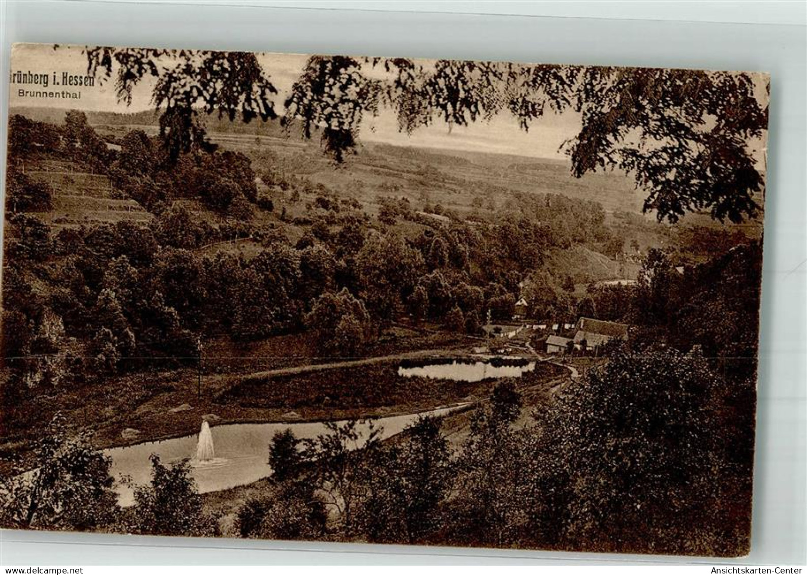 39999991 - Gruenberg , Hess