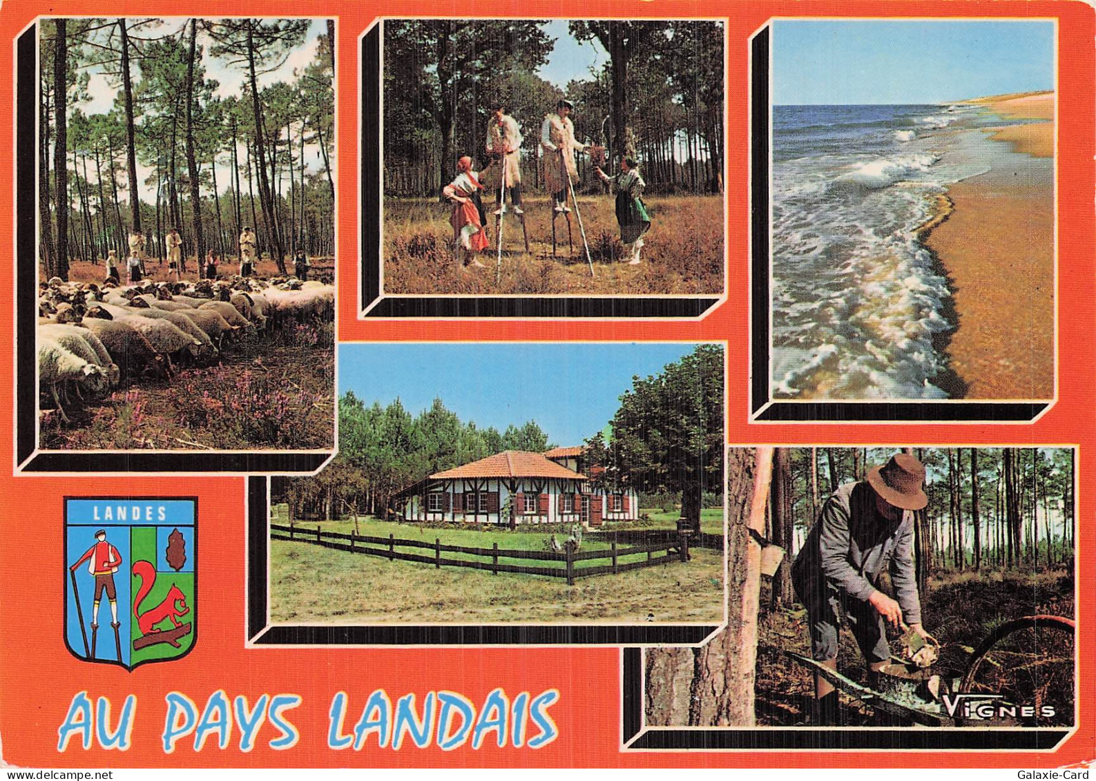 40 CASTETS AU PAYS LANDAIS