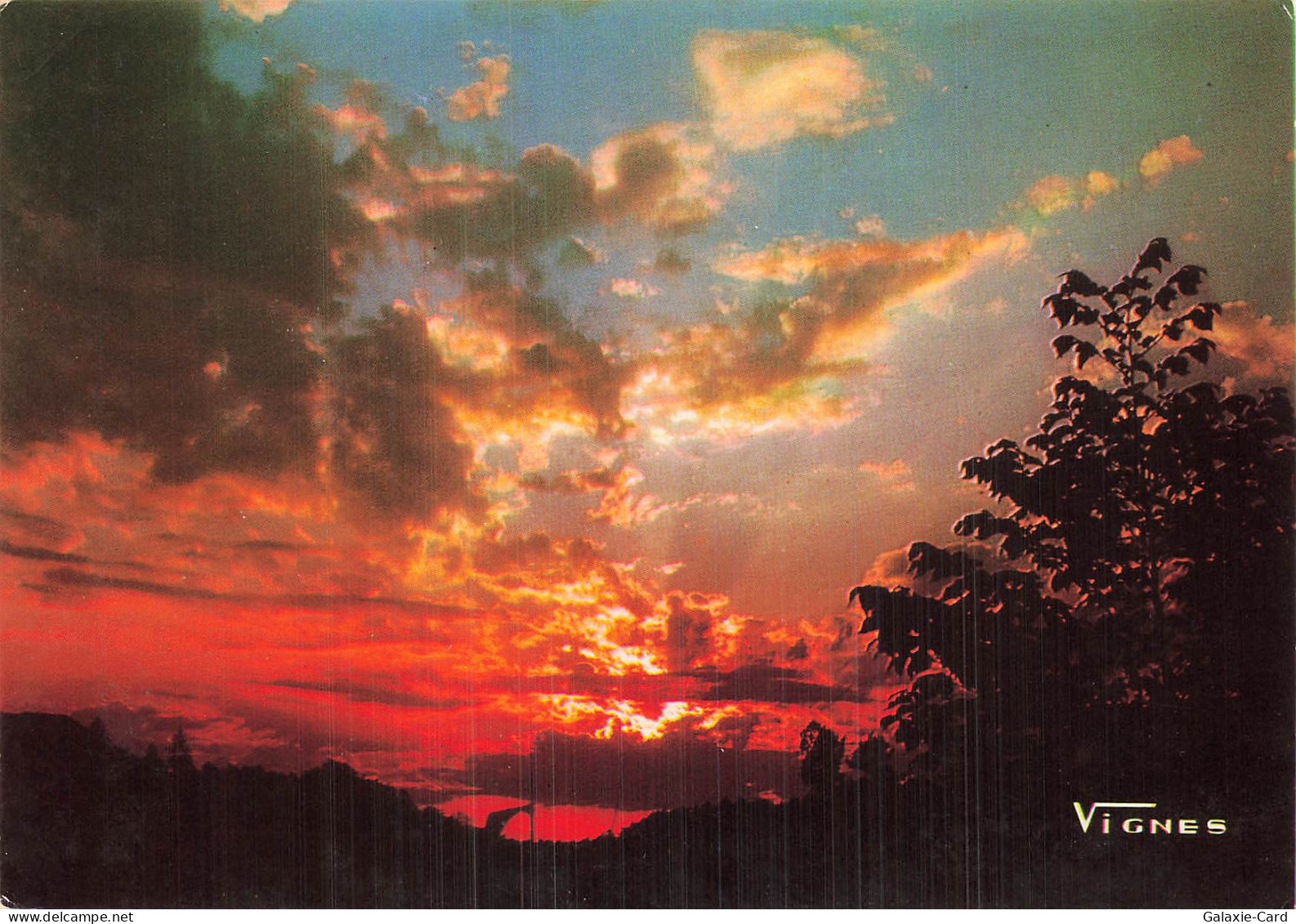 40 CASTETS PAYSAGES DES LANDES