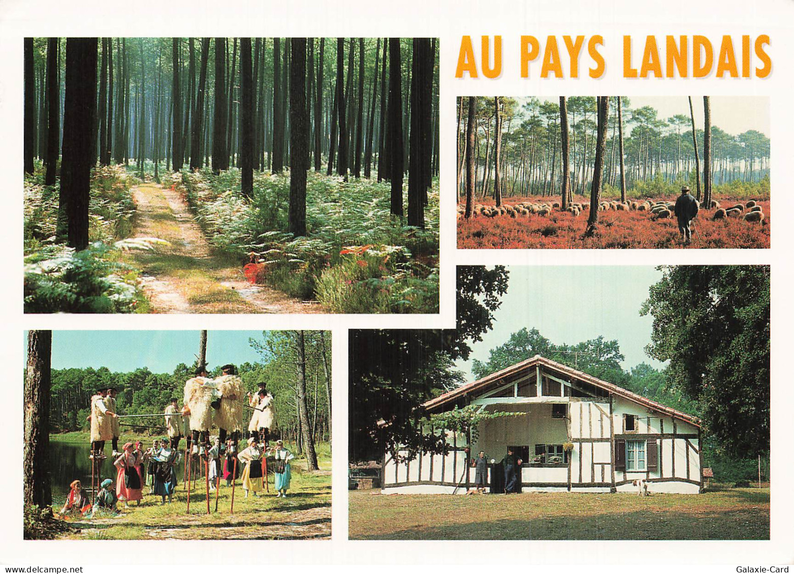 40 CASTETS VISAGE DES LANDES