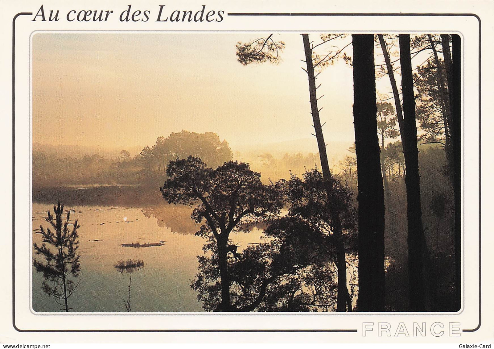 40 CASTETS VISAGES DES LANDES