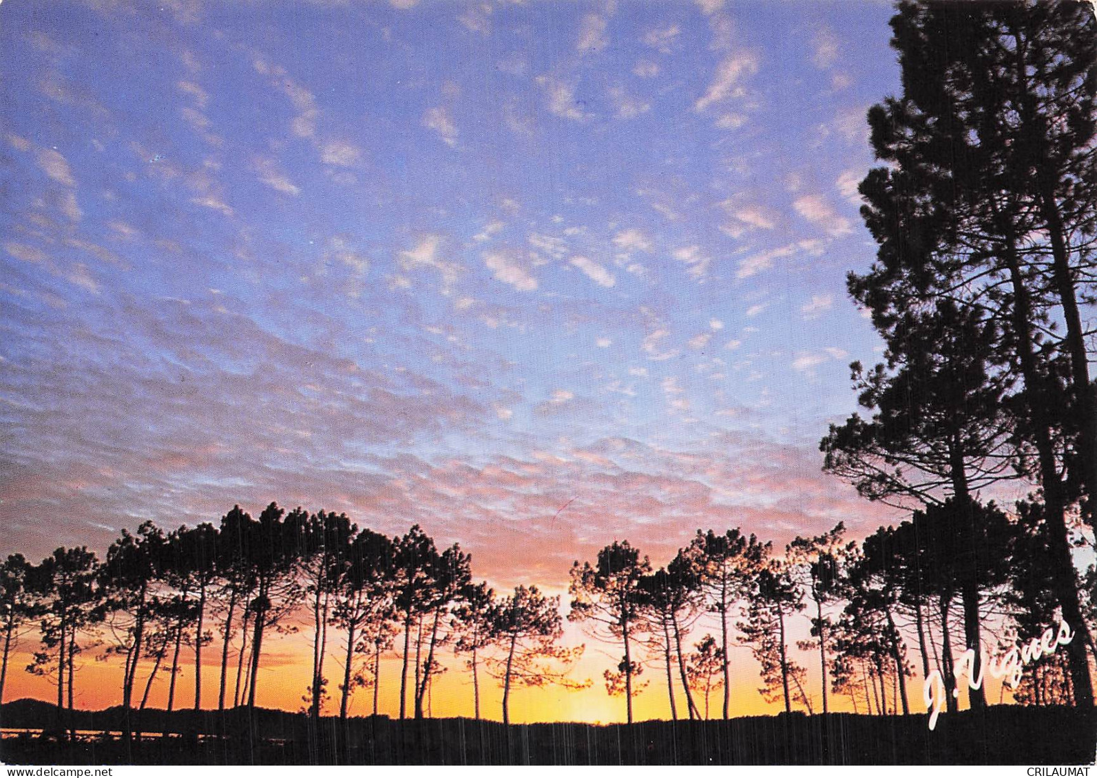 40 CASTETS VISAGES DES LANDES