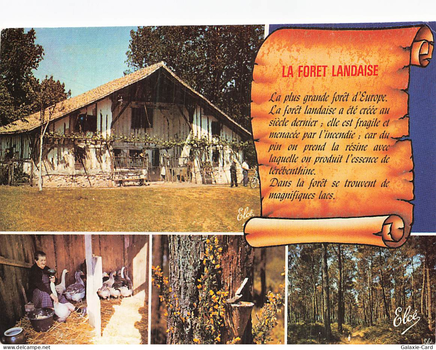 40 MIMIZAN PLAGE DE MIMIZAN