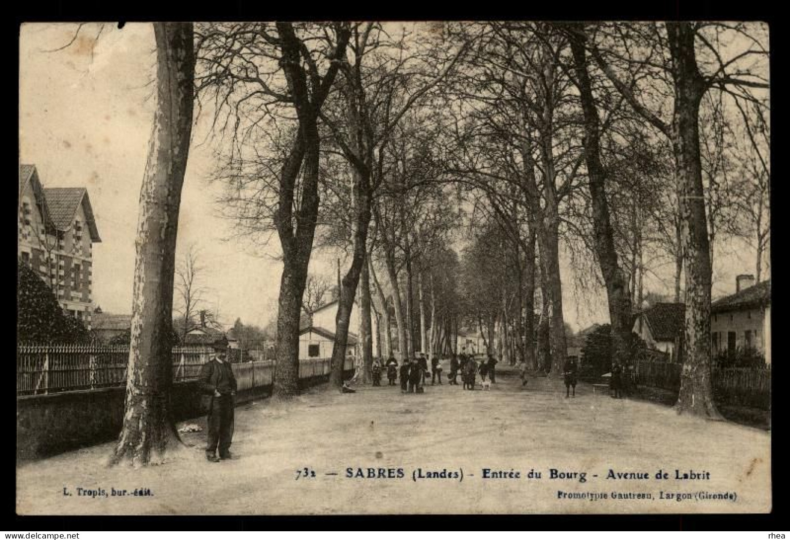 40 Sabres allee arbres