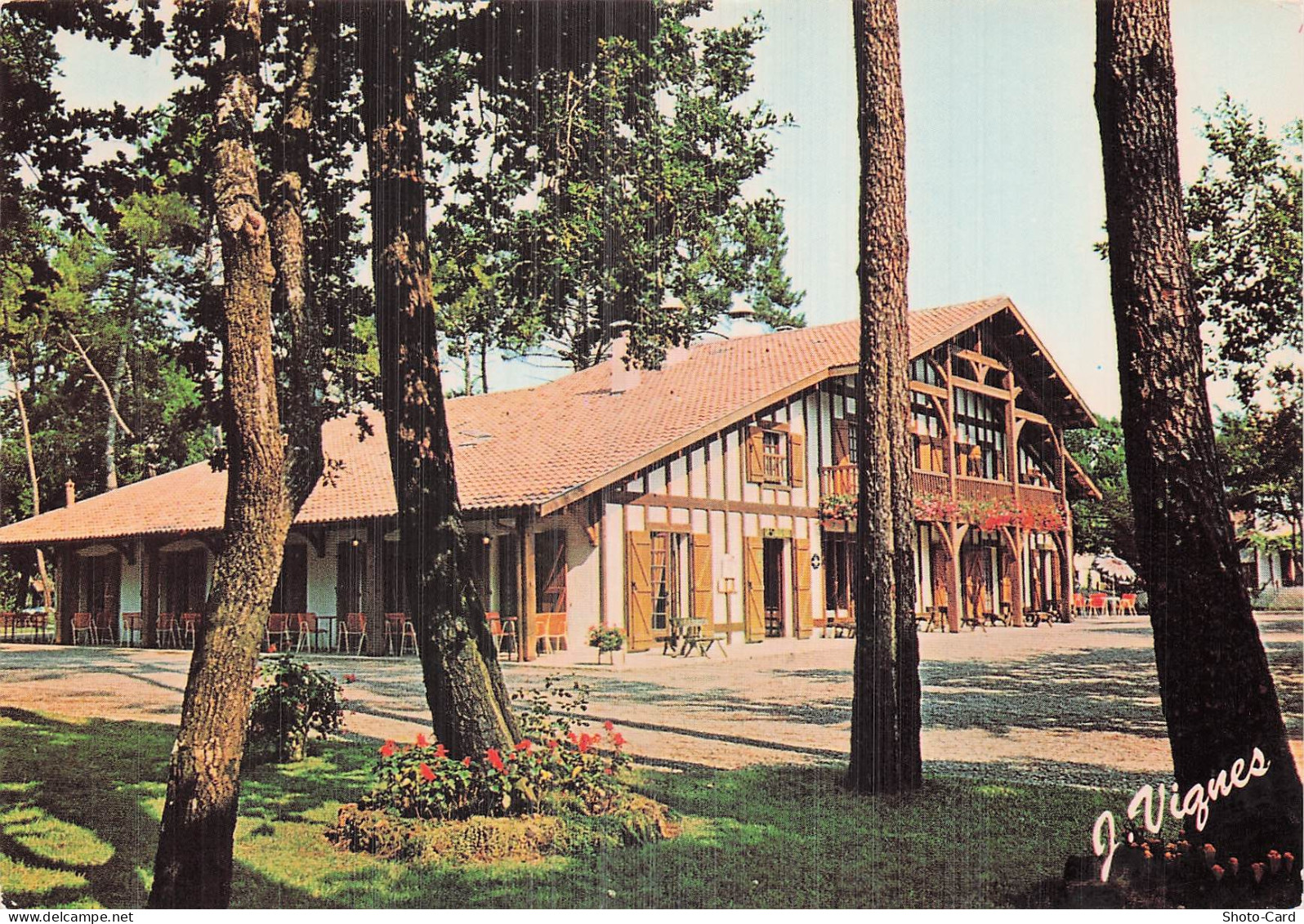 40 SABRES FORET DES LANDES