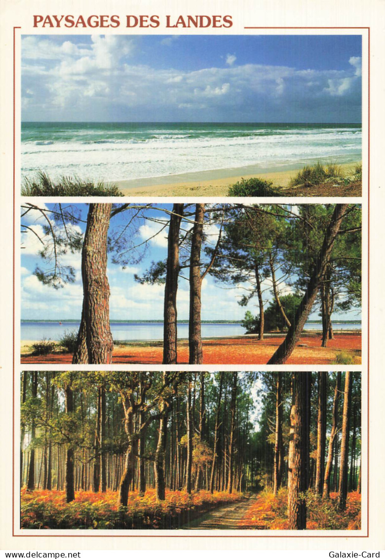 40 SAINT VINCENT DE TYROSSE VISAGE DES LANDES