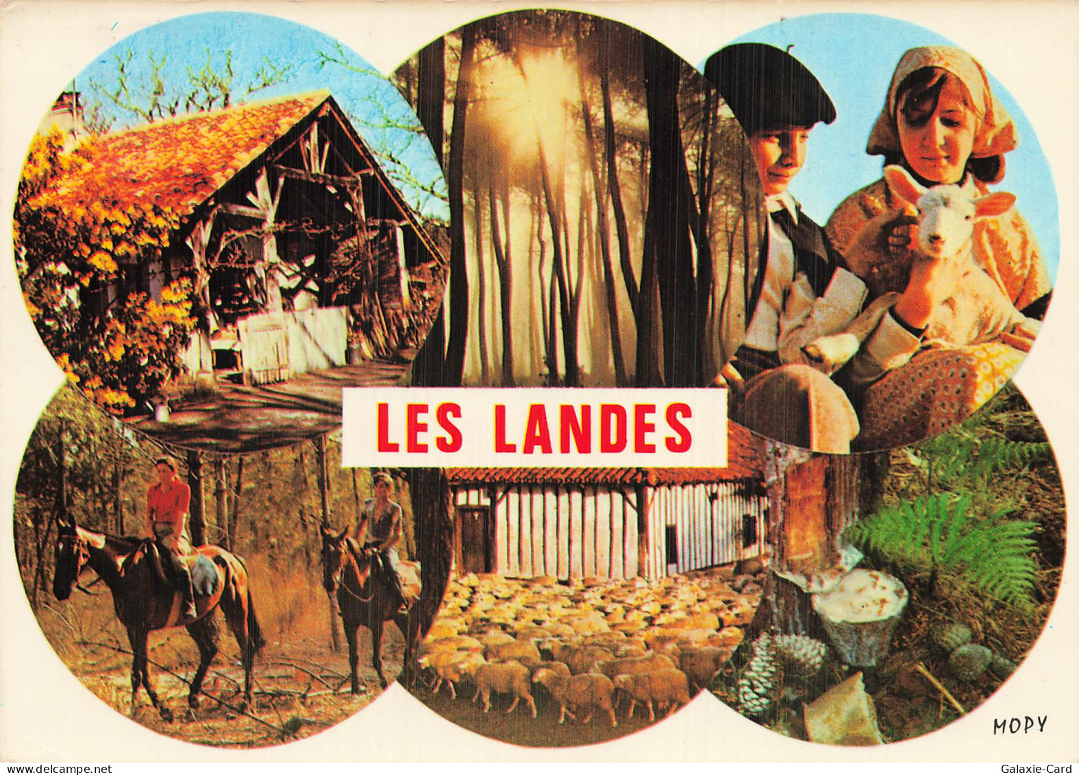 40 SORE LES LANDES