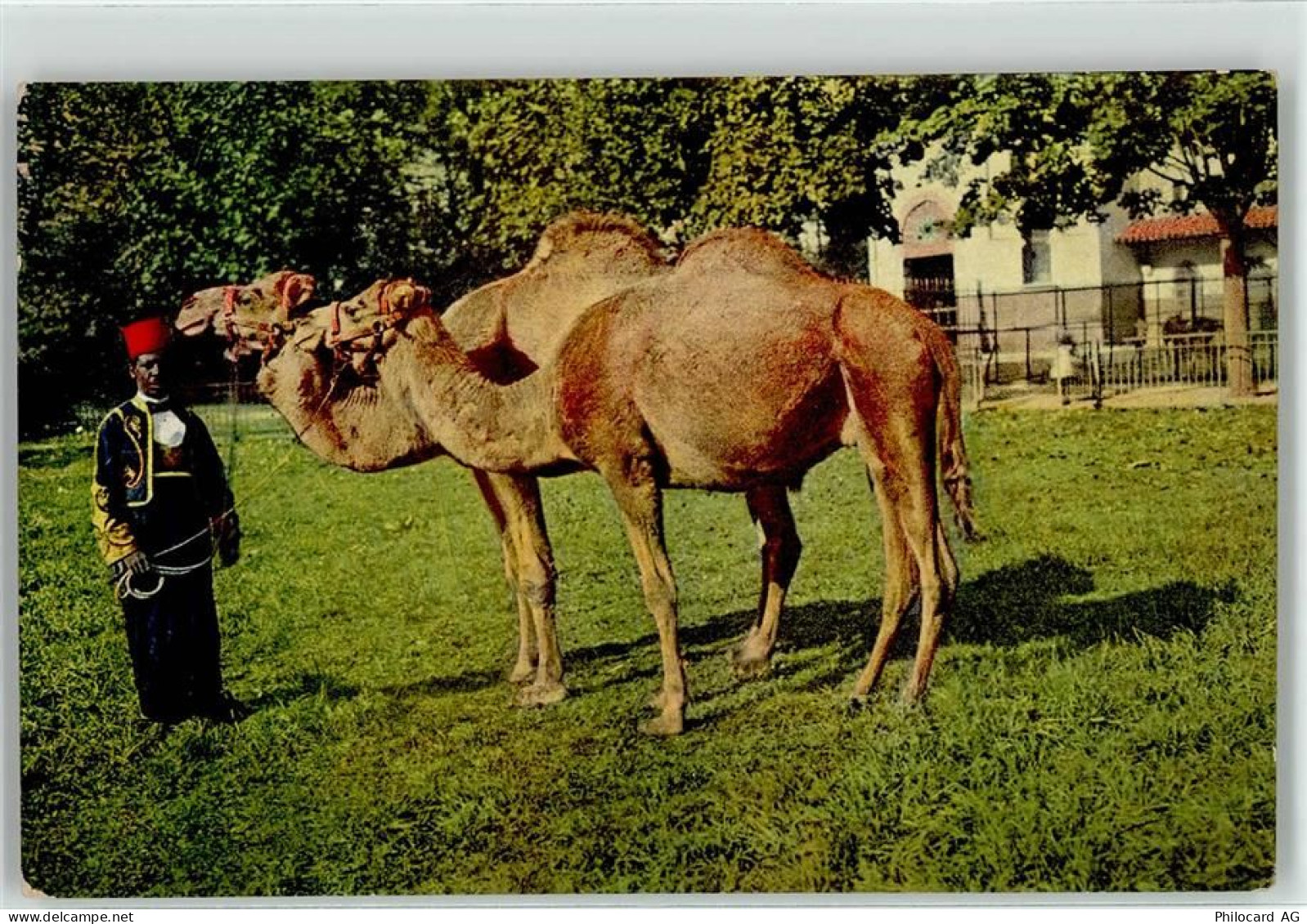 4000 Basel Bâle - 52041527