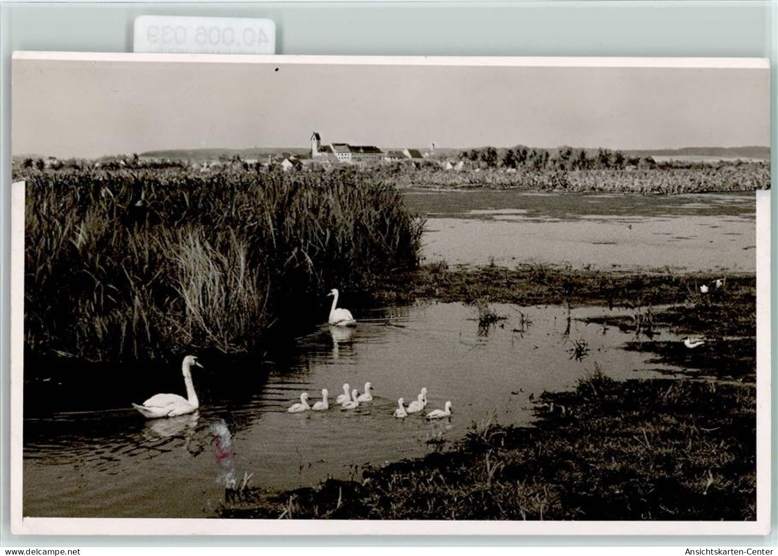 40006039 - Bad Buchau