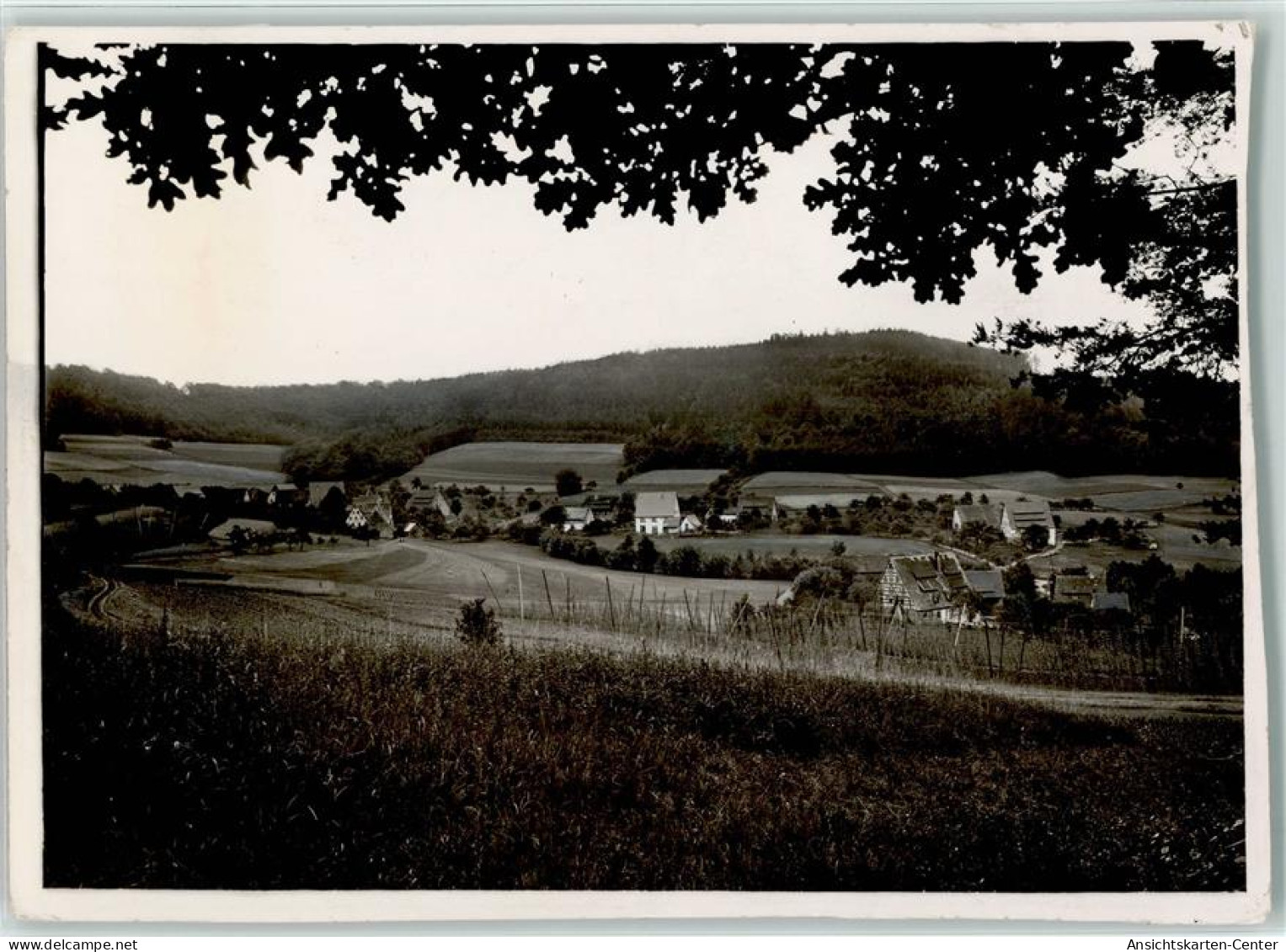 40006273 - Hersbruck