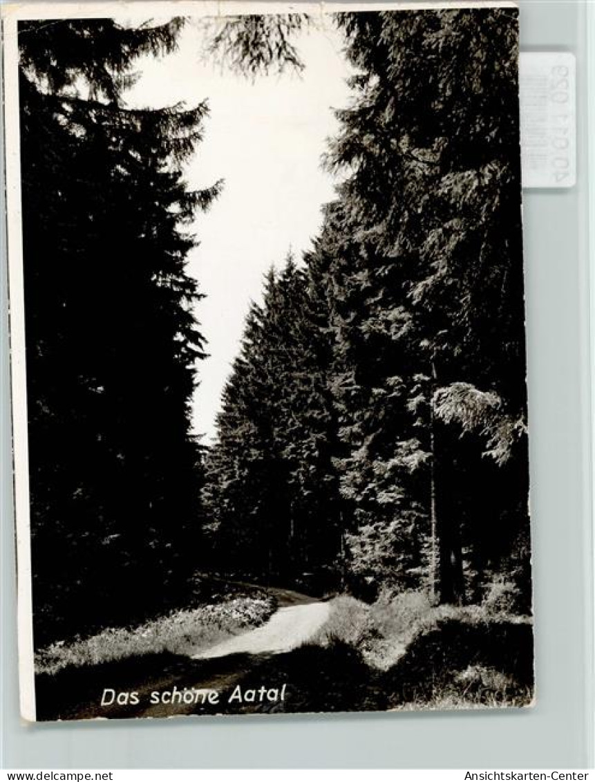 40011029 - Wuennenberg