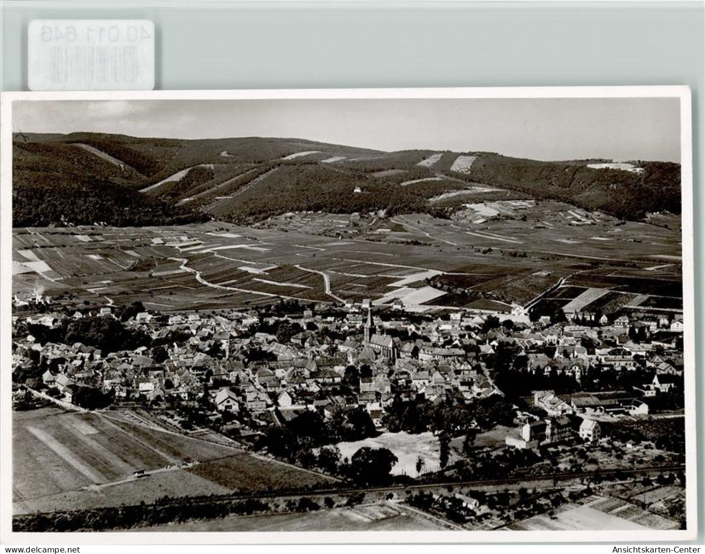 40011646 - Deidesheim