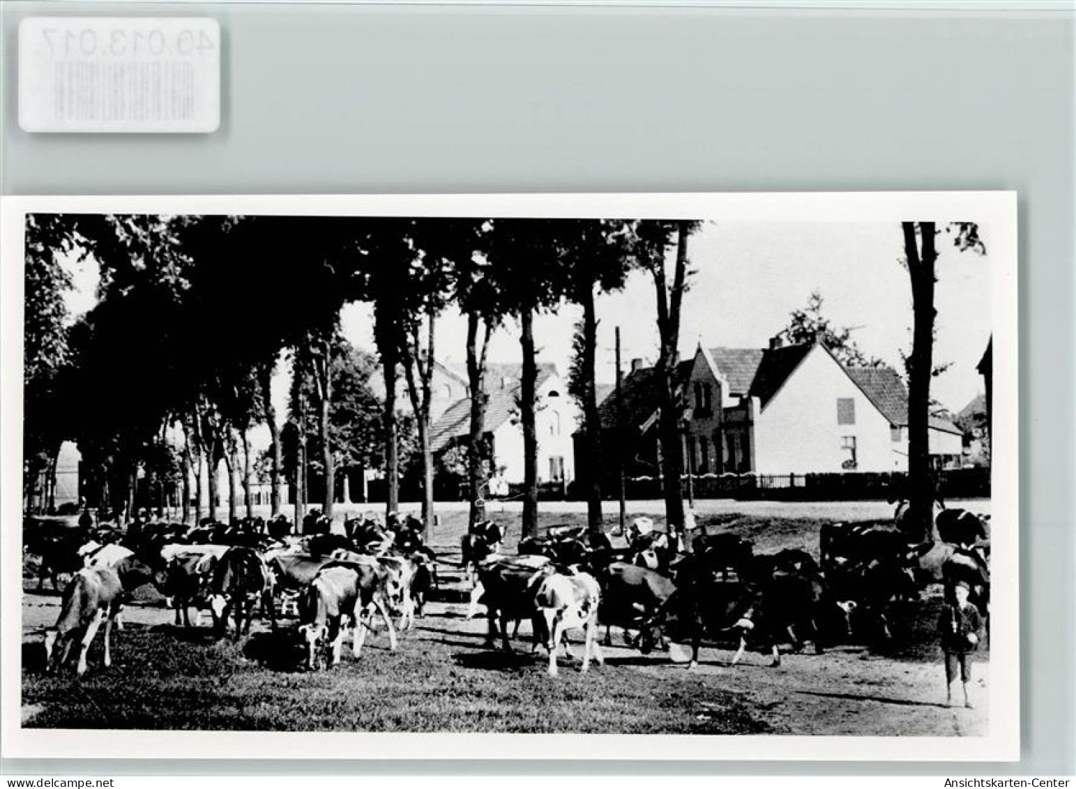 40013017 - Haltern , Westf