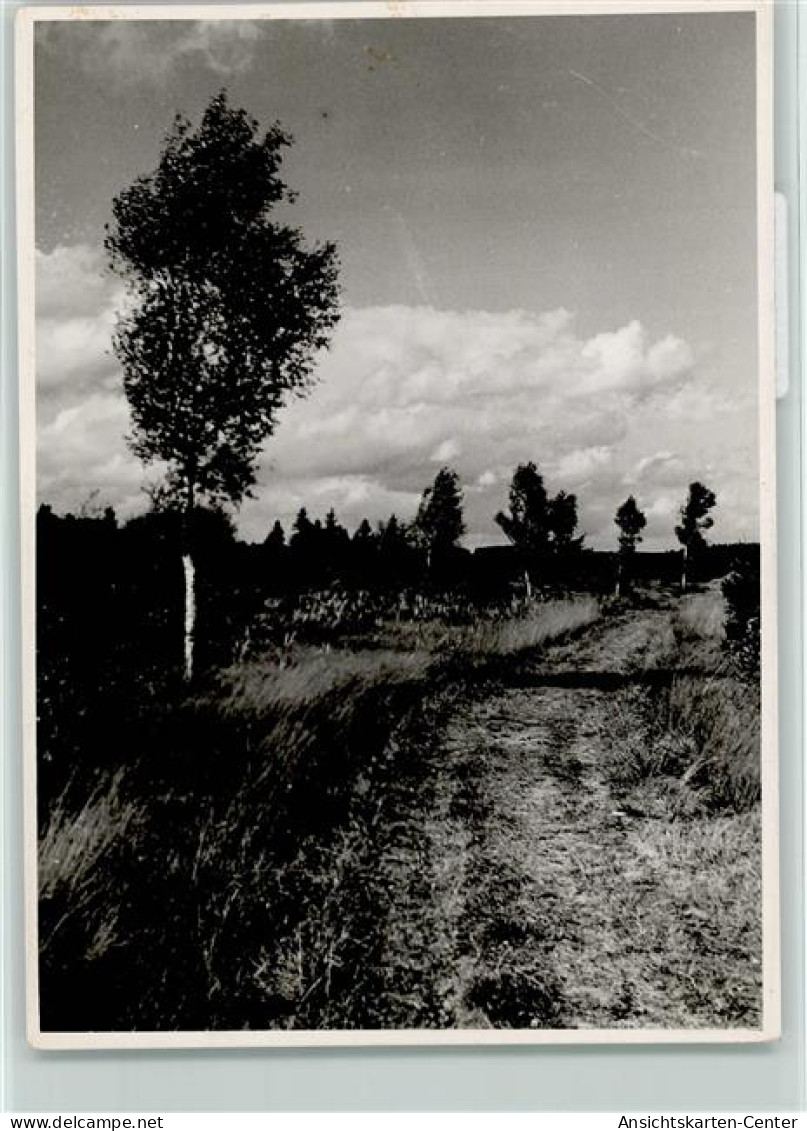 40013447 - Bad Wurzach