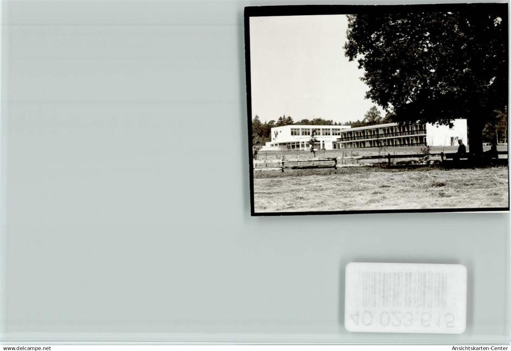 40023615 - Walsrode
