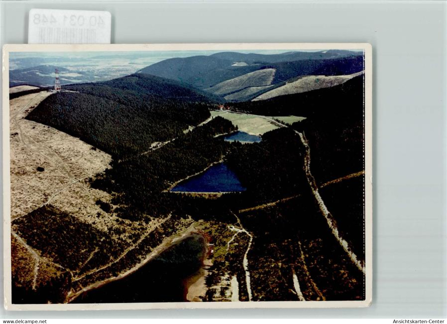 40031448 - Auerhahn , Oberharz