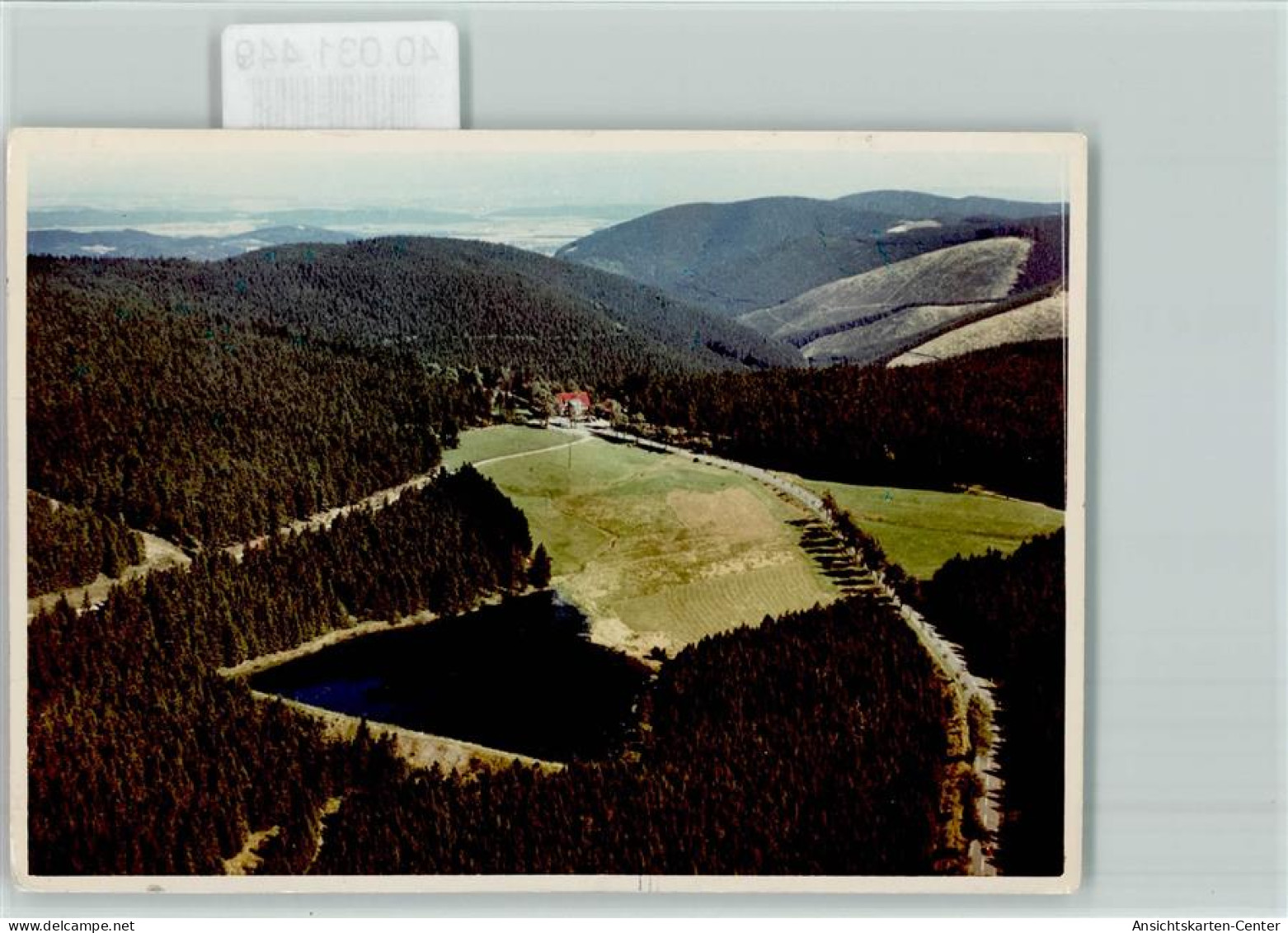 40031449 - Auerhahn , Oberharz