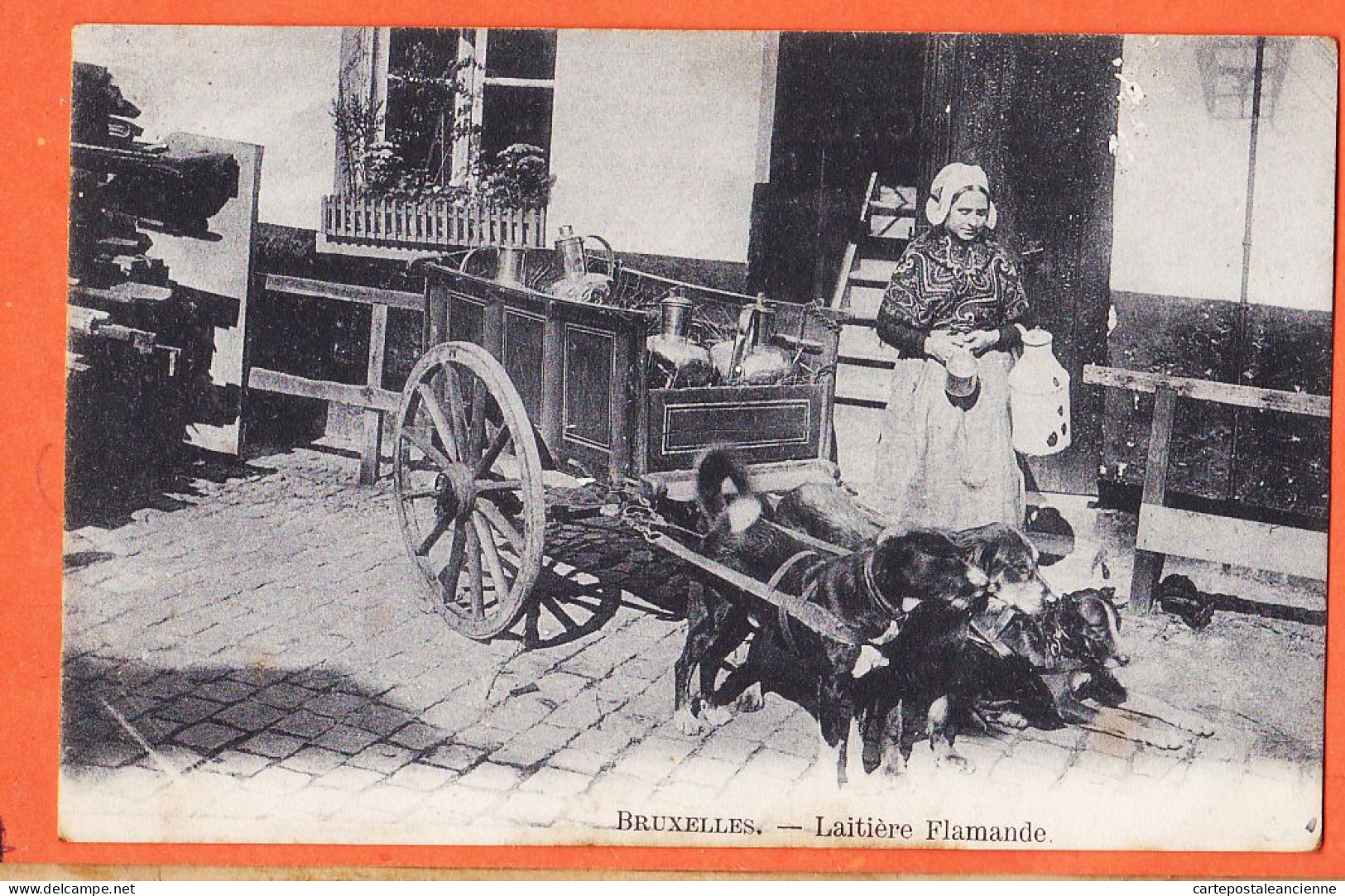 40034 ◉ Petits Métiers BRUXELLES Belgique ◉ Laitière Flamande Attelage Chiens 1900s ◉ Ambachten BRUSSEL België ◉