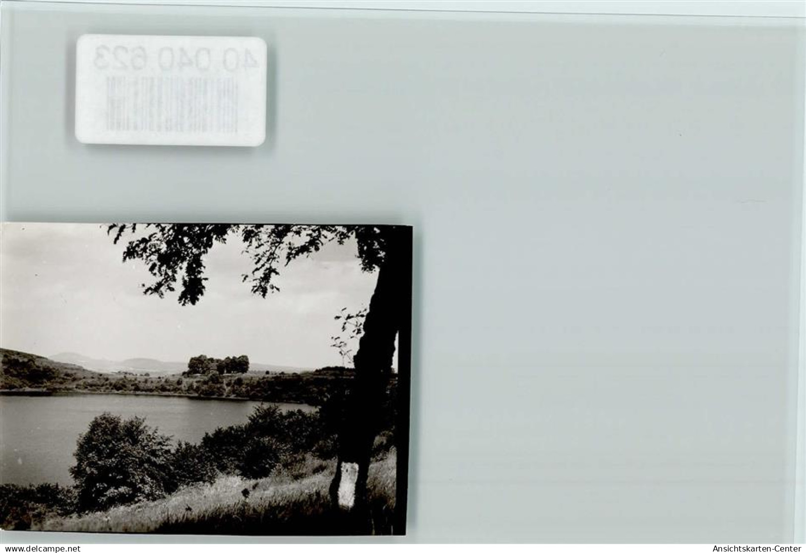 40040623 - Daun