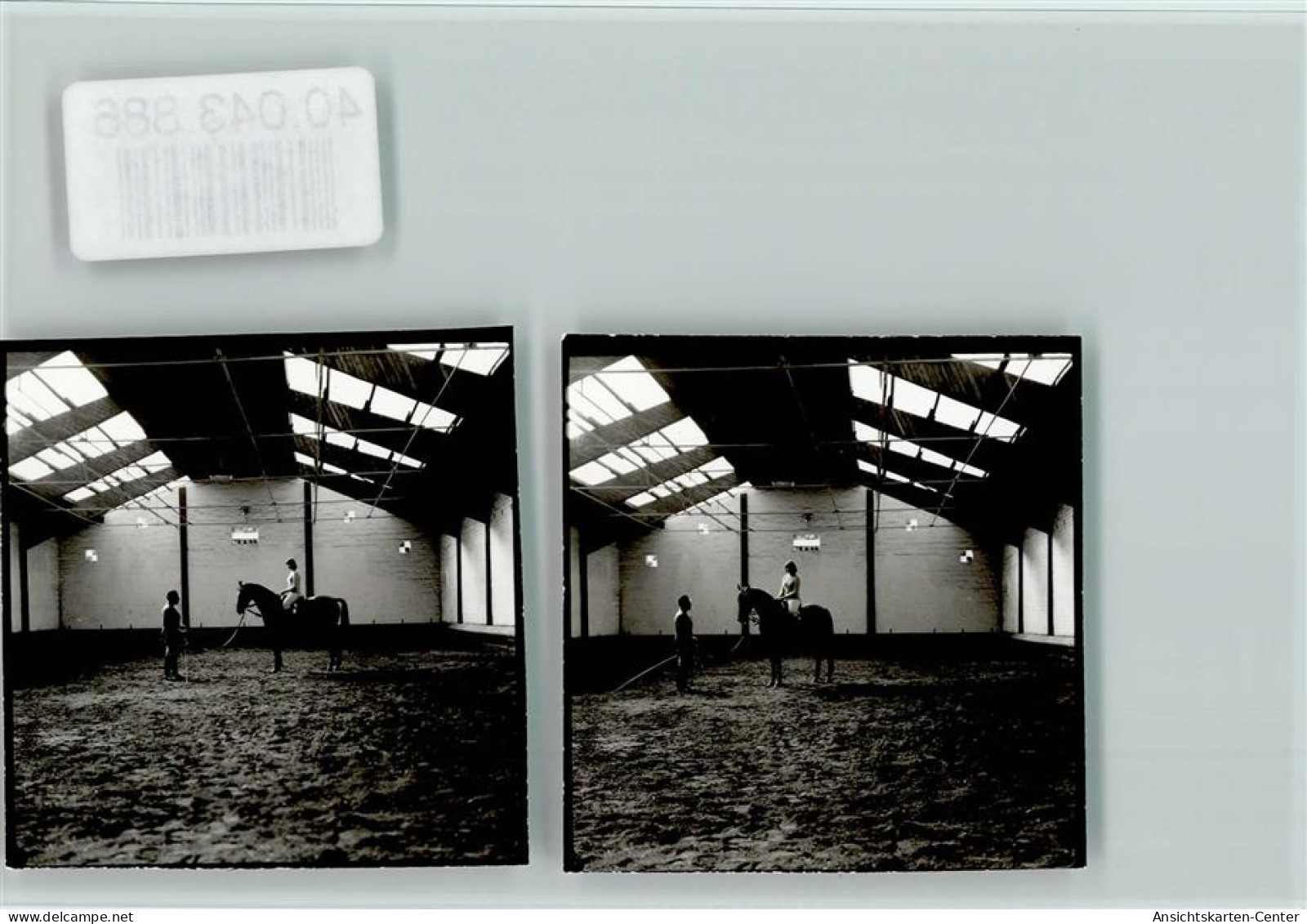 40043886 - Bederkesa