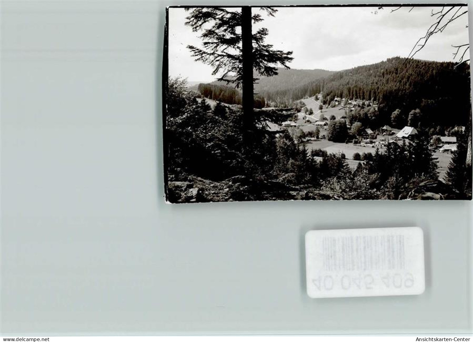 40045409 - Hinterzarten