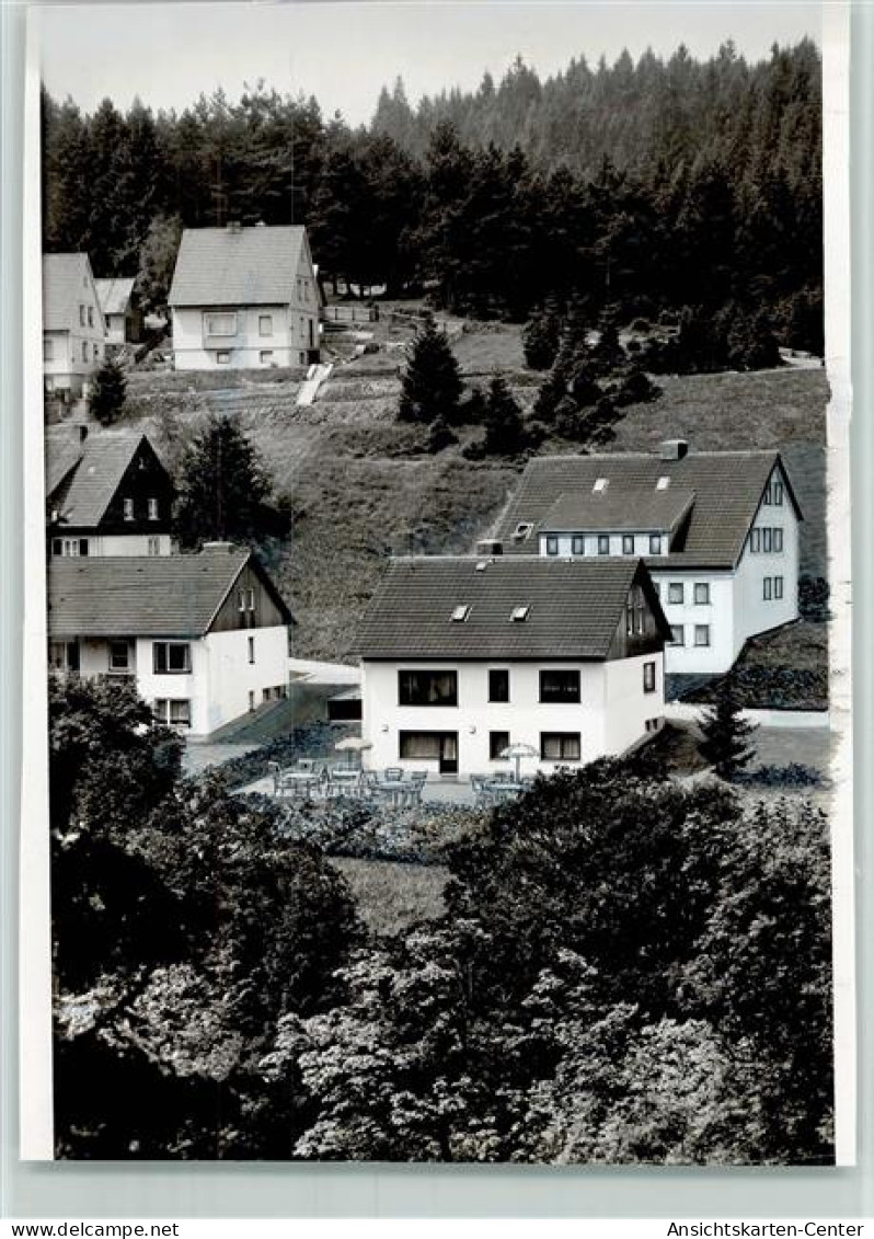 40048467 - Altenau , Harz